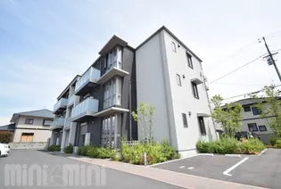 ユキコート椿の画像