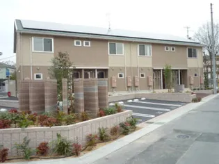 フェリシアスの画像