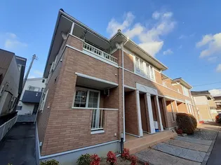 ピエタ フィリアーレ椿 Bの画像