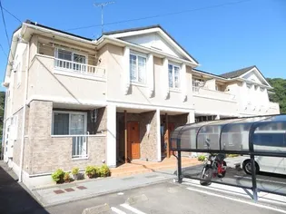 マンダリーナの画像