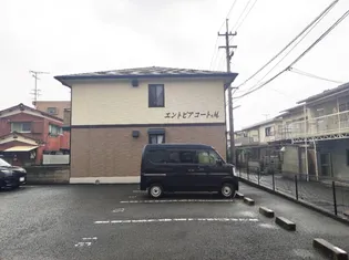 エントピアコートMの画像