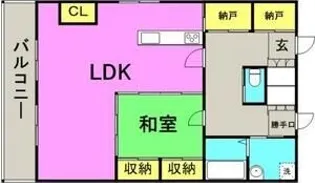 CASSIOPEIA HAKOZAKI【805号室】の間取り