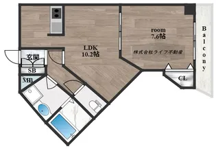 リュミエールイースト【3階】の間取り