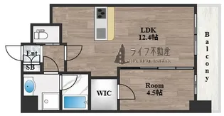 ソルテラス OSAKA EAST GATE【13階】の間取り