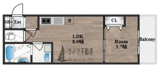 D porta Trapa【1階】の間取り