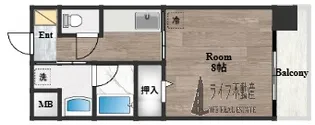 メゾンルミエール【4階】の間取り