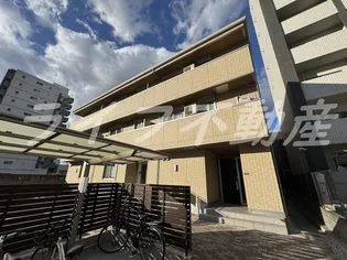 モンアミの画像