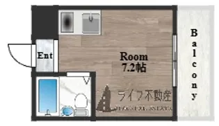 TTN鴻池新田【3階】の間取り