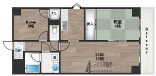 メゾンプランシェール【3階】の間取り