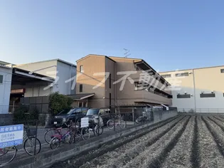 サンフローラの画像