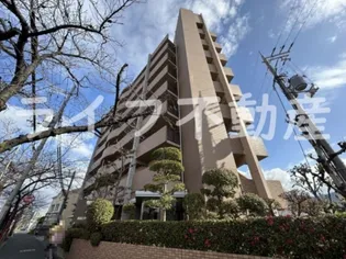 スピカ リヴェルテの画像