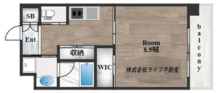 PHOENIX CLOVE TOMOI【10階】の間取り