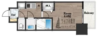 アドバンス大阪バレンシア【5階】の間取り