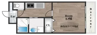 パトラY【5階】の間取り