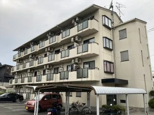 リオグランデ由希の画像