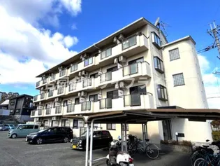 リオグランデ由希の画像