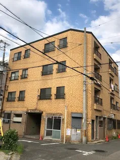 堺フェニックスの画像