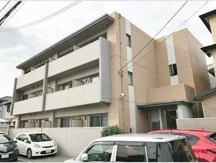 シェリールソルの画像