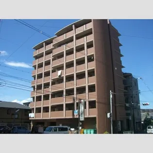 IBC中百舌鳥の画像