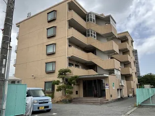 カターラオーシマの画像