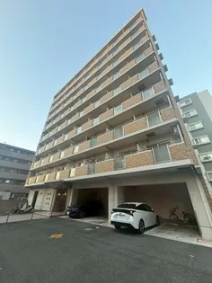 クレスト中もずの画像