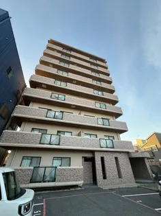 マノワールコトンの画像