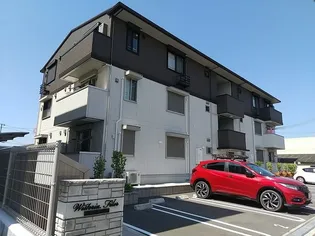 ウィステリア フィレールの画像