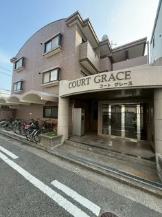 コートグレースの画像