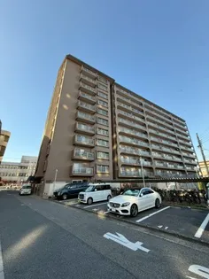 ルネ羽衣の画像