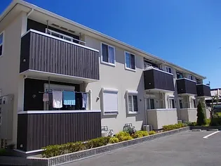 オリーブⅠの画像