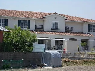 プラシード アロッジオの画像