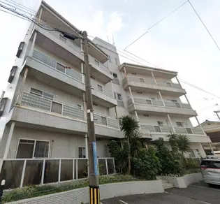 ステートリー羽衣の画像