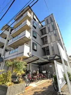 アムールセゾンの画像