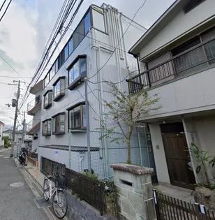 テール百舌鳥の画像