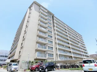 ルネ羽衣の画像