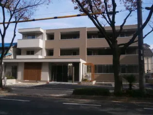 アネスティーの画像