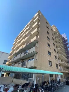 エヌ ケイ羽衣の画像