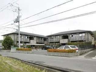 ビューラー和泉の画像