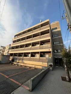 カーサミガタの画像