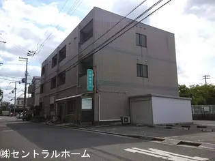 カリエ中もずの画像