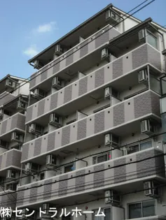 プレジオカーサの画像