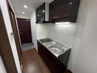 MANO MANSION【3階】のキッチン