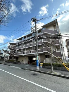 グリーンコート若草【4階】の外観