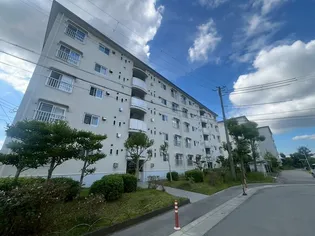 ひよどり台3団地10号棟【4階】の外観