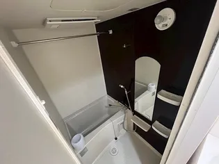 Luxe東灘【5階】の風呂