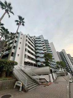 パームスクェアジェームス山【8階】の外観