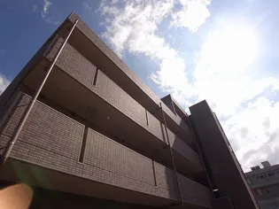 タカラピュアの画像