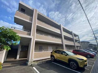 FOREVER HILL VIIの画像