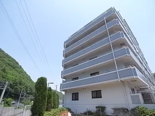 シルフィード ドゥ唐櫃の画像