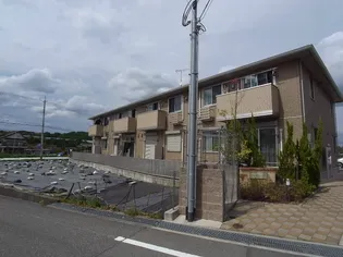 ステラセッテの画像